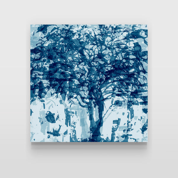Blue Tree - Ltd Ed Print - 30cm squ / 12" squ