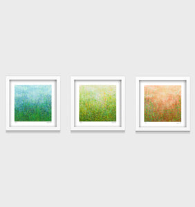 Garden Series- Set of 3- Small 25 x 25cm - Limited Edition Print on ...