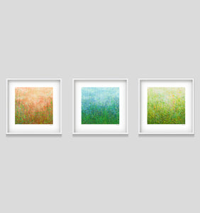 Garden Series - Set of 3 - 52cm White Frame or Unframed