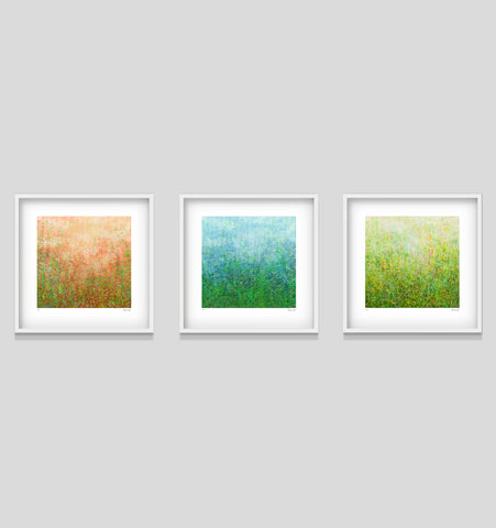Garden Series - Set of 3 - 52cm White Frame or Unframed