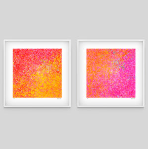 Neon Garden Series - Set of 2 - Framed or Unframed - 84cm squ / 33" squ