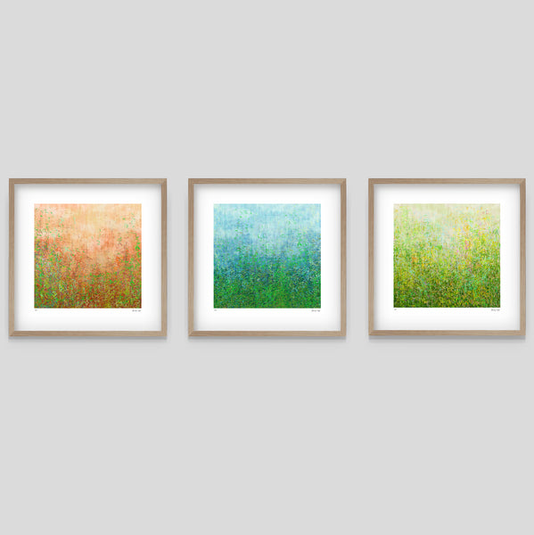 Garden Series - Set of 3 - Framed or Unframed - 52cm squ / 20.7" squ (x3)
