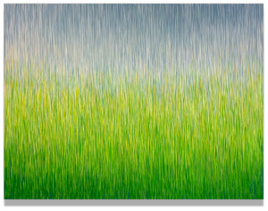 Grasslands Rain - George Hall
