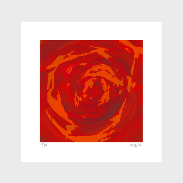 Red Rose - 25cm - White/Black Framed or Unframed