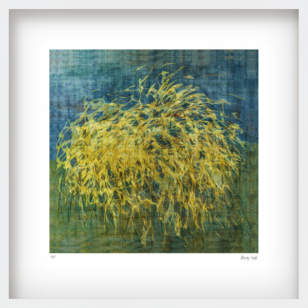 'Wanaka Pampass Grass' + 'Green Harvest' - 52cm (x2) - White Frame or Unframed